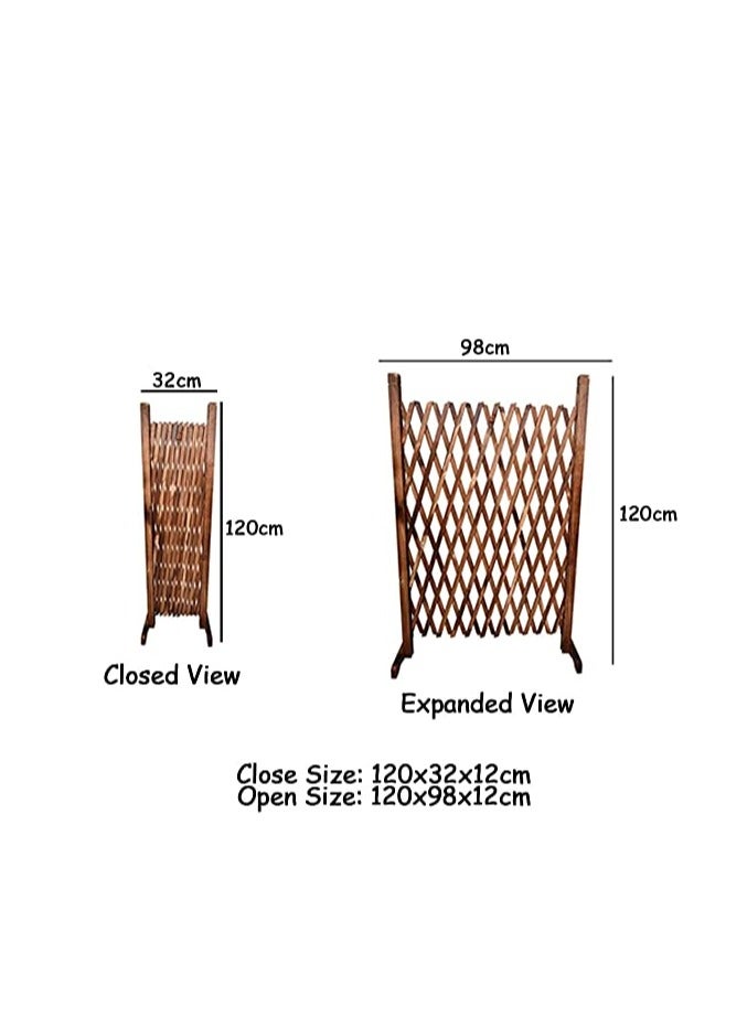 FFD Wooden Fence for Decor and Plant Trellis Frame