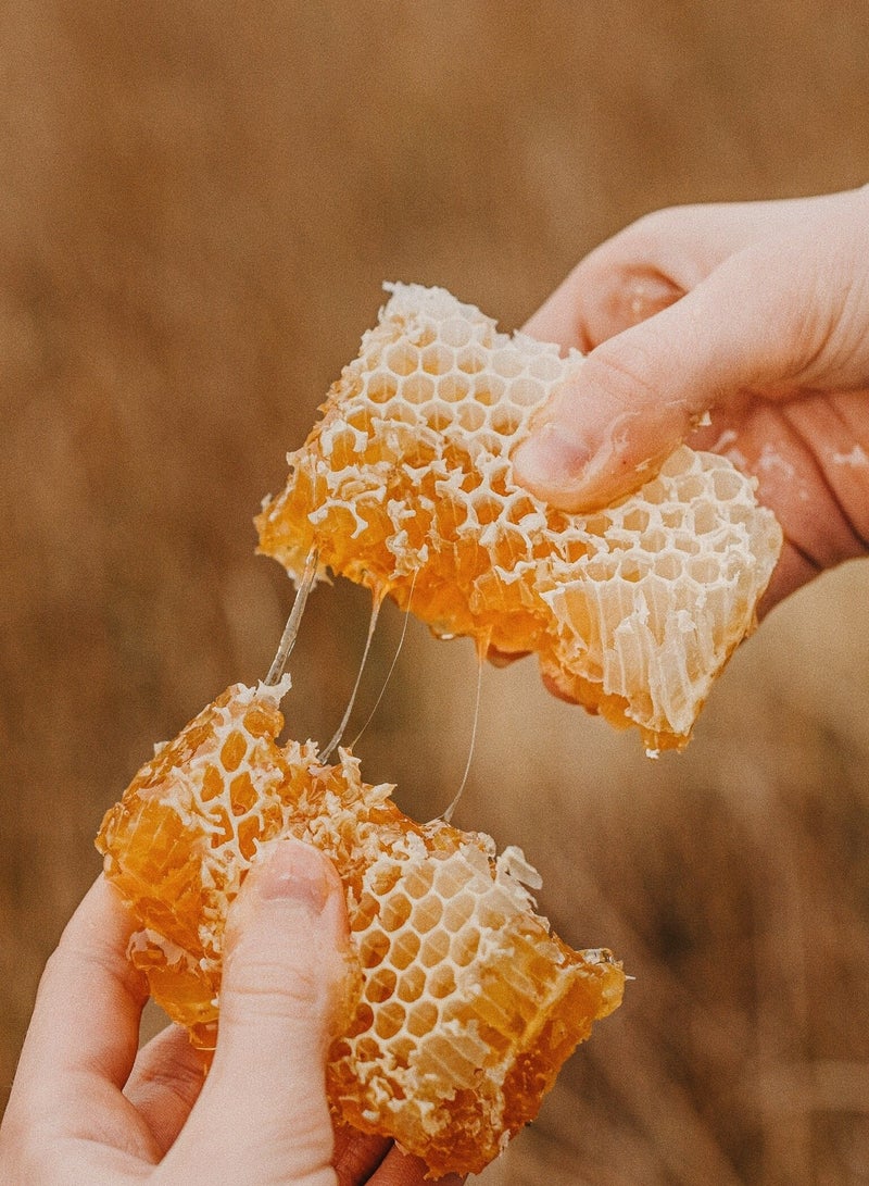 Honey Comb with Frame Fresh from the Farm 100% Organic and Natural 3.3kg