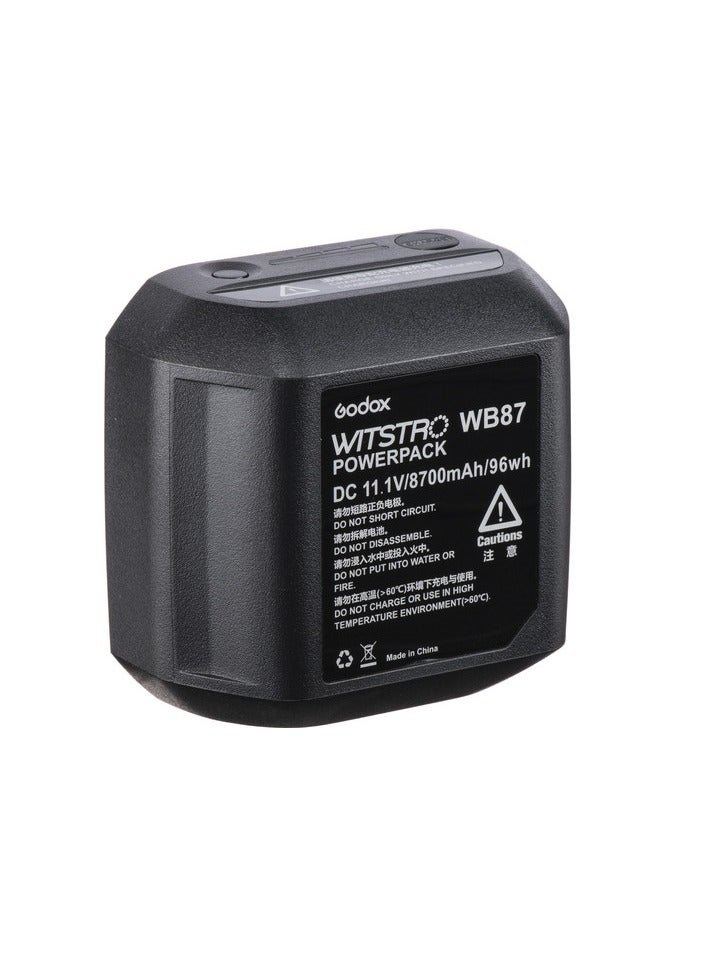 Godox Battery for AD600-Series Flash Heads