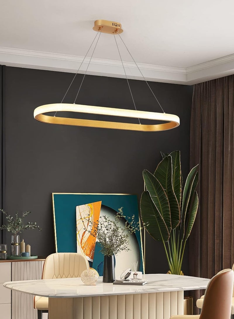 Modern Oval LED Chandelier Dining Room, Gold Acrylic Chandelier Light for Kitchen Island Table, Study, Dimmable & Height Adjustable Chandeliers lamp