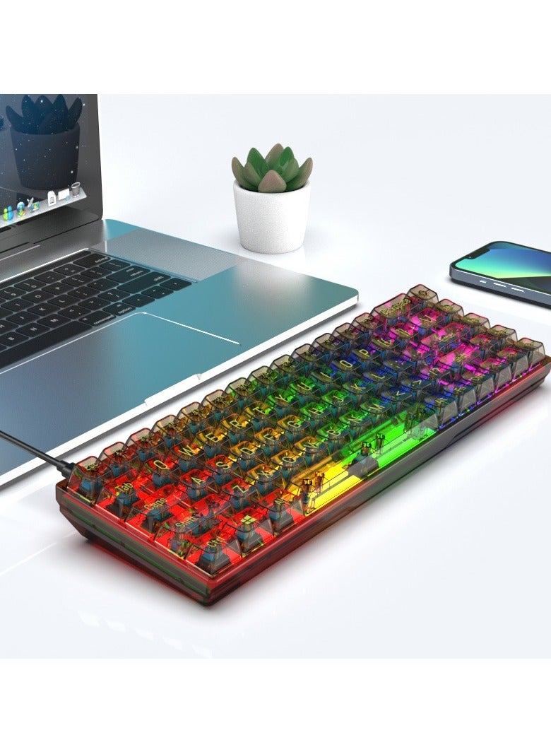 65% Wired RGB Transparent Gaming Keyboard, 68-key Compact Fully Transparent Mechanical Keyboard with Translucent Plate, Custom Linear Switches, Support Win/Linux and Mac OS Black