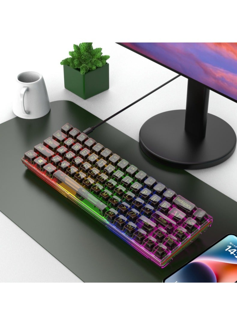 65% Wired RGB Transparent Gaming Keyboard, 68-key Compact Fully Transparent Mechanical Keyboard with Translucent Plate, Custom Linear Switches, Support Win/Linux and Mac OS Black