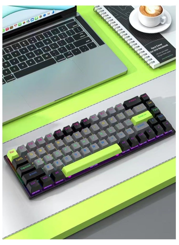 RGB Gaming Keyboard, Wired 68-Key Mechanical Keyboard, Detachable USB-C Cable, Support Win/Mac OS Black/Green