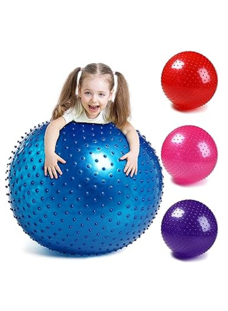 Sensory Yoga Ball 65cm with Air Pump Thickened Stability Balance Sense for Physical Fitness Exercise