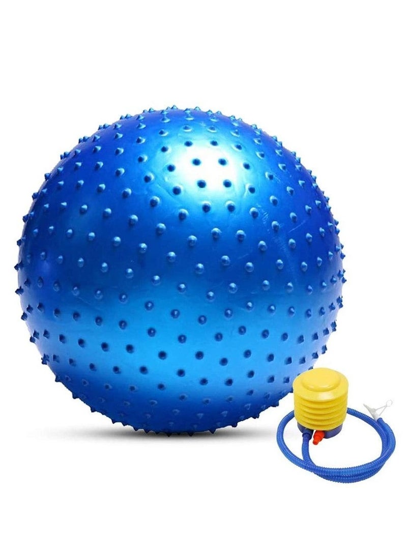 Tactile Sensory Yoga Ball 65cm with Air Pump Thickened Stability Balance Sense for Physical Fitness Exercise