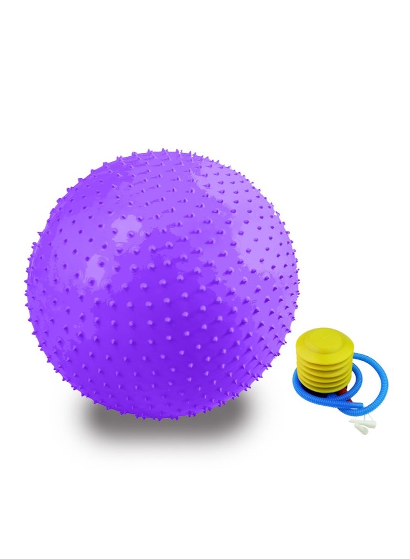 Sensory Yoga Ball 65cm with Air Pump Thickened Stability Balance Sense for Physical Fitness Exercise