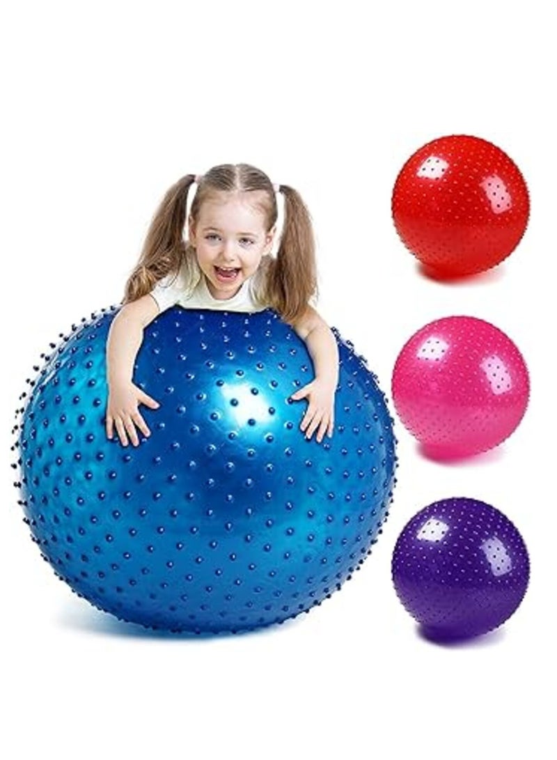 Sensory Yoga Ball 65cm with Air Pump Thickened Stability Balance Sense for Physical Fitness Exercise