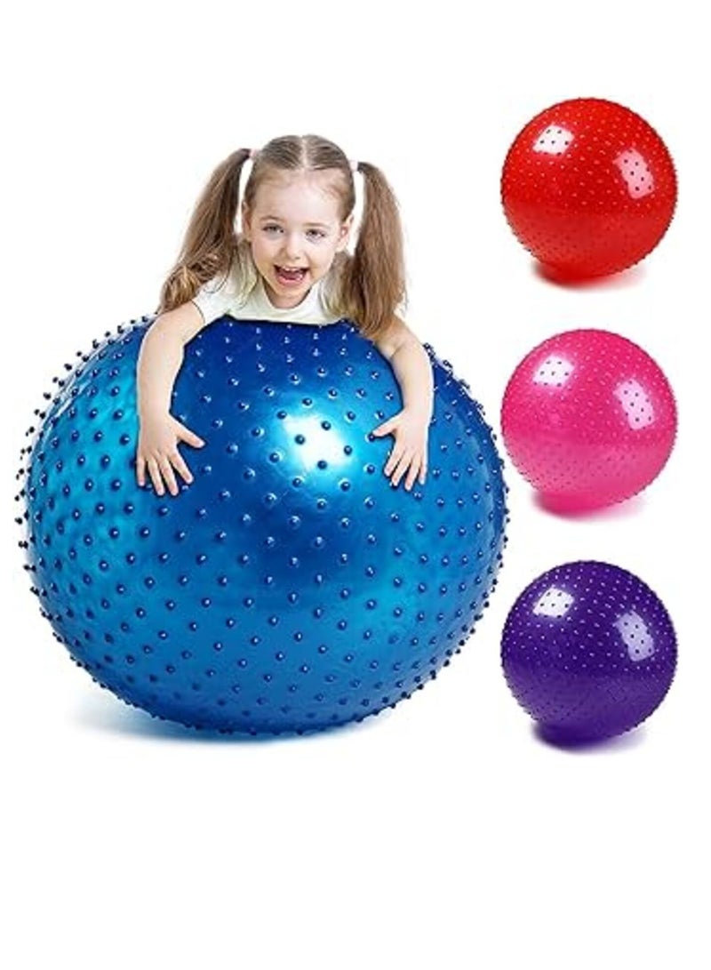 Tactile Sensory Yoga Ball 75cm with Air Pump Thickened Stability Balance Sense for Physical Fitness Exercise