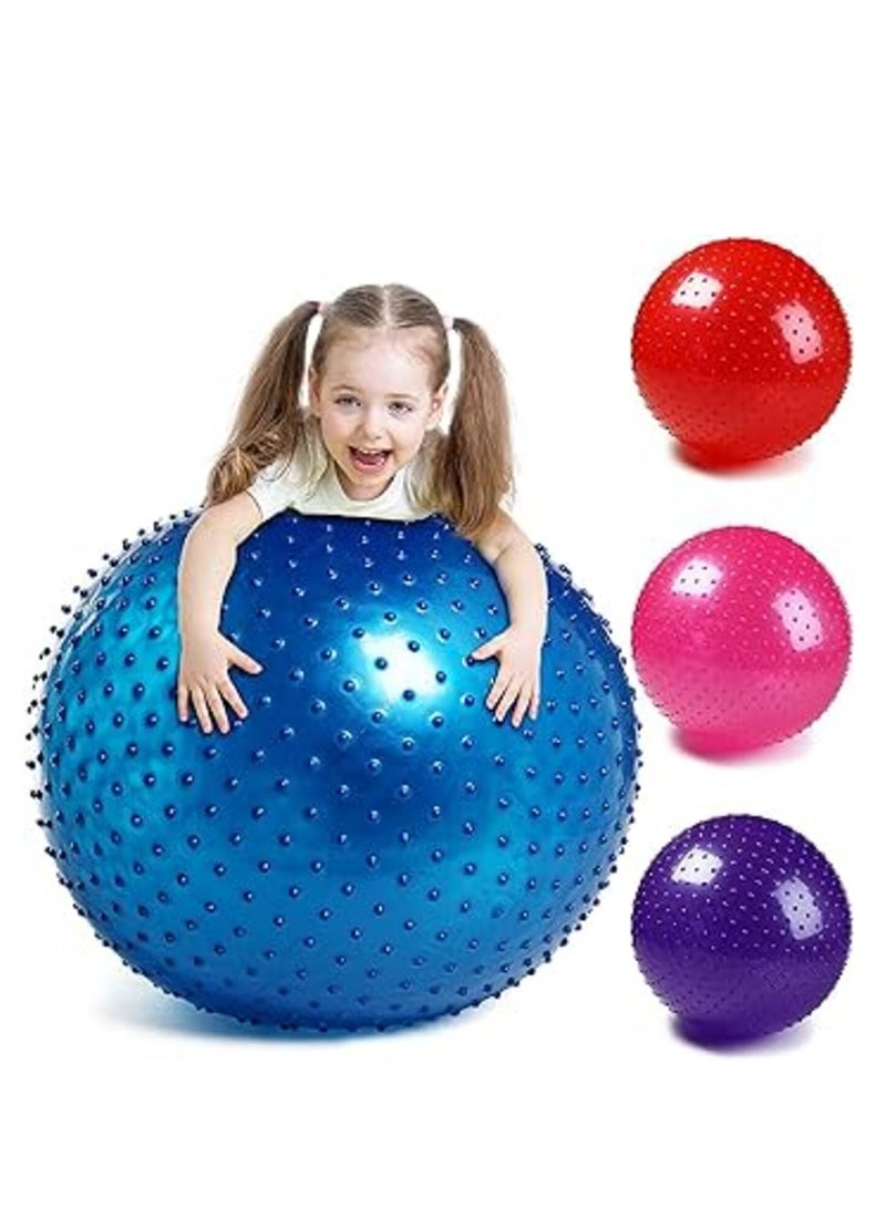 Tactile Sensory Yoga Ball 75cm with Air Pump Thickened Stability Balance Sense for Physical Fitness Exercise