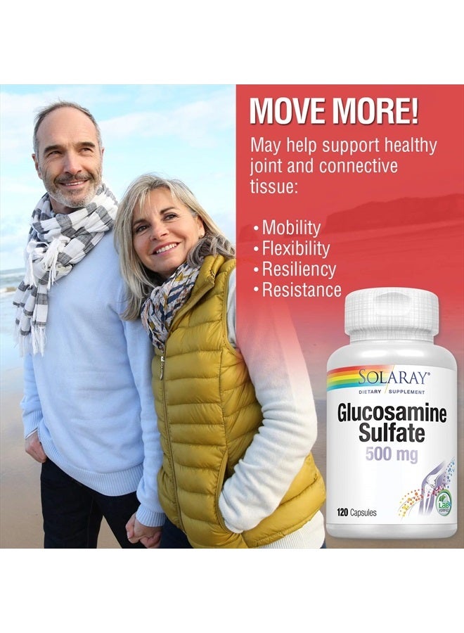 Glucosamine Sulfate 500 mg | Healthy Joint Flexibility & Resiliency Support (60 Serv, 120 CT)