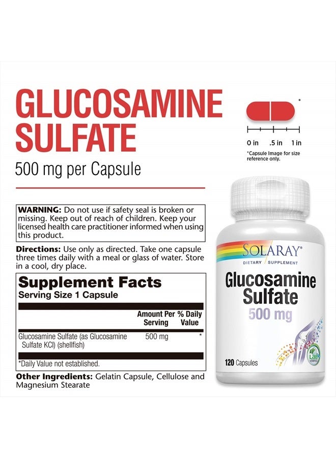 Glucosamine Sulfate 500 mg | Healthy Joint Flexibility & Resiliency Support (60 Serv, 120 CT)