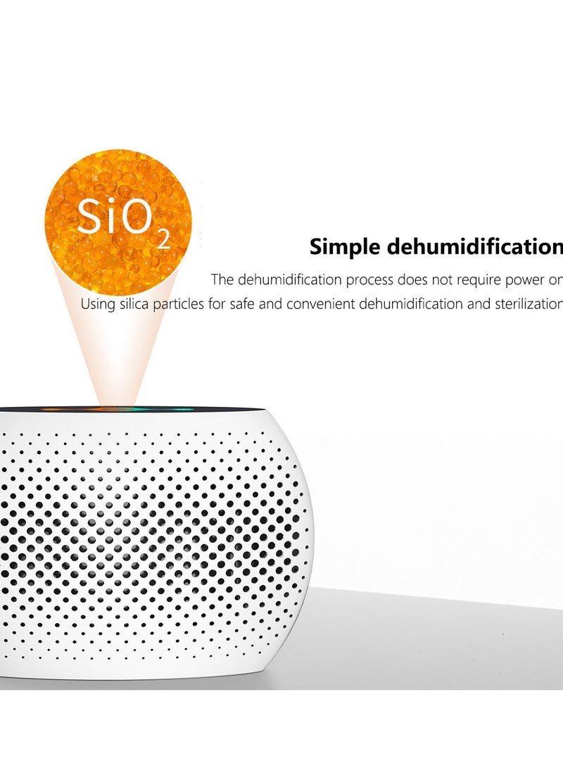 Dehumidifiers for Home, Small Auto Shut off Dehumidifiers with Drain Hose,Portable Ultra Quiet Mini Dehumidifiers for Basement,Bathroom, Bedroom, Garage, Closet, RV,Caravan