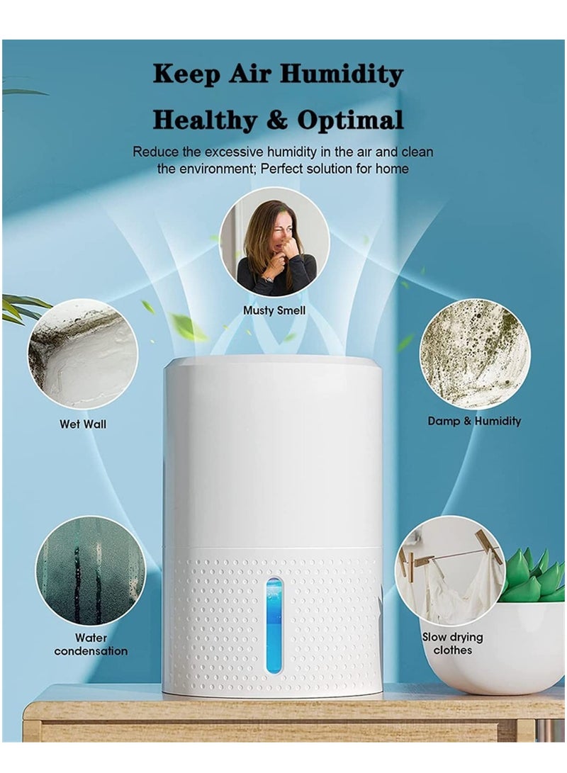 Dehumidifier for Home Basement,  Dehumidifiers for Bedroom Bathroom Small Quiet Portable Air Dehumidifiers with 900ml Water Tank