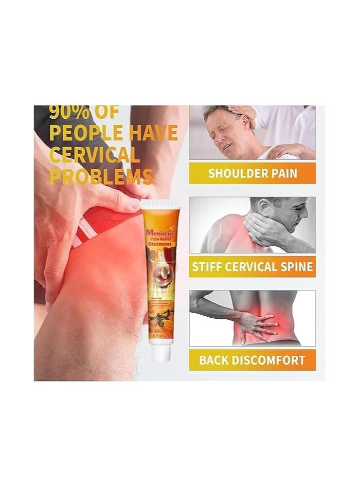 Pack Of 6 Meniscus Pain Relief Ointment 20 grams x 6 piece