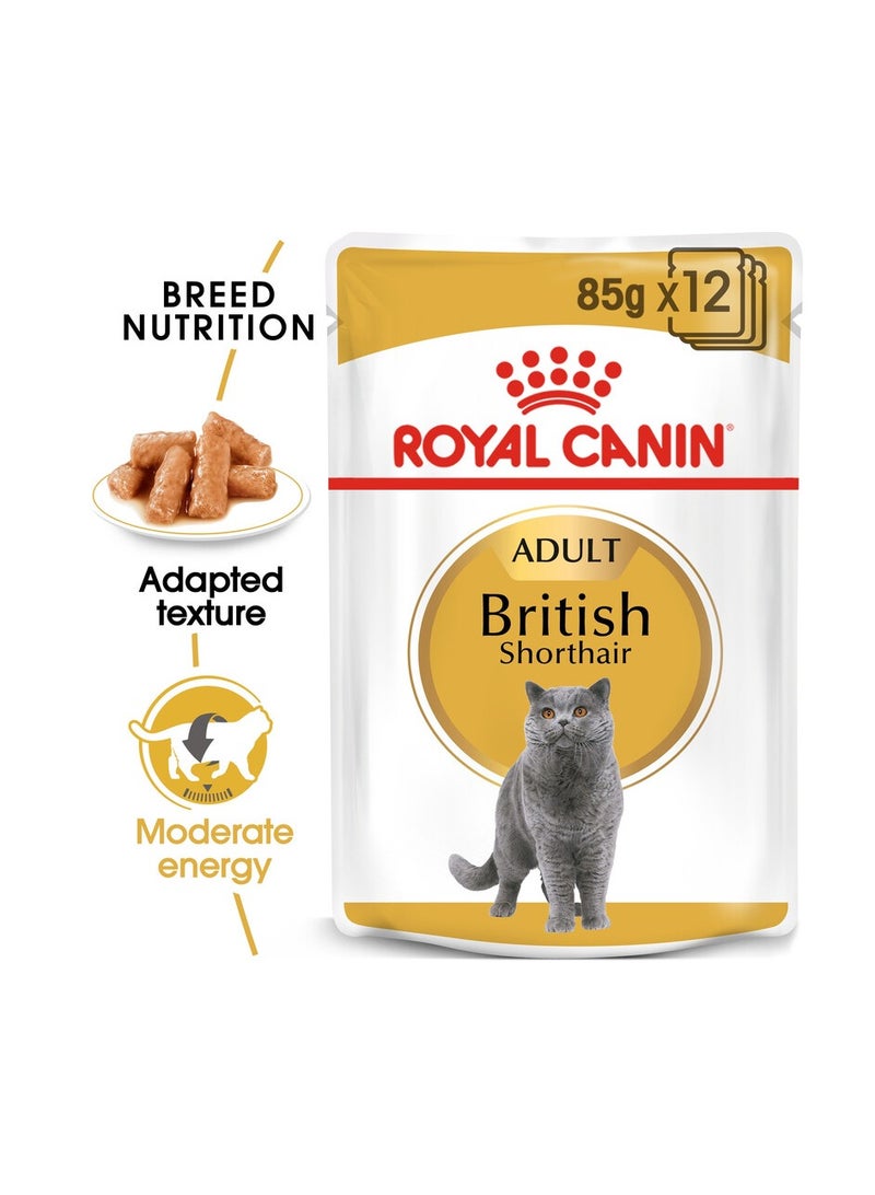 Royal Canin, British Shorthair - 1 Box in 12pcs x 85g - For Cat Wet Food