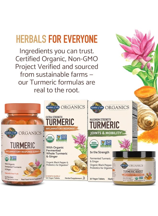 Mykind Organics Turmeric Booster Inflammatory Response Powder 30 Servings 50Mg Curcumin 95% Curcuminoids And Probiotics