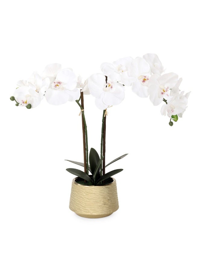 Artificial Orchid In Ceramic Pot White And Gold ‚Ai 49.5 Cm