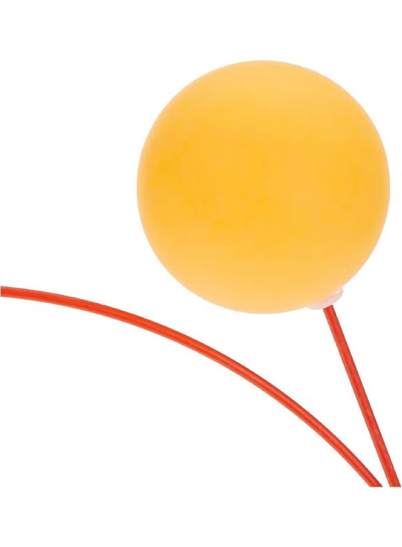 Sport Table Tennis Practice Paddles With Ball Set
