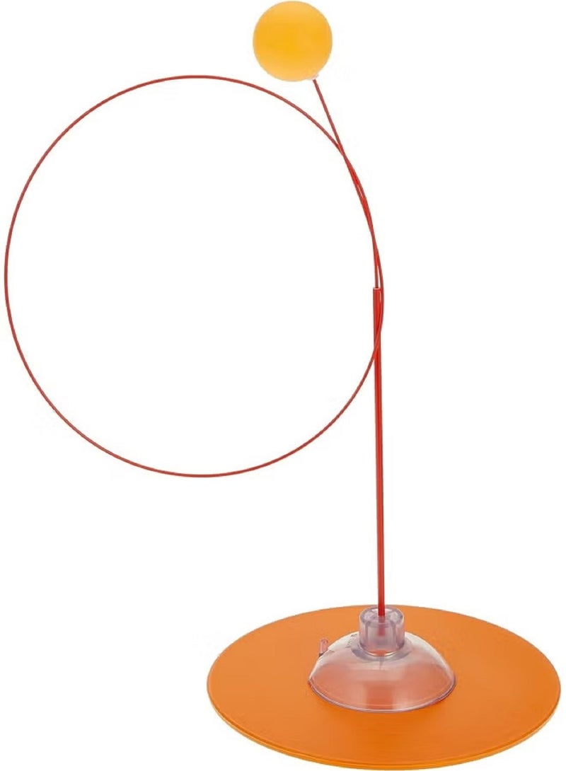 Sport Table Tennis Practice Paddles With Ball Set