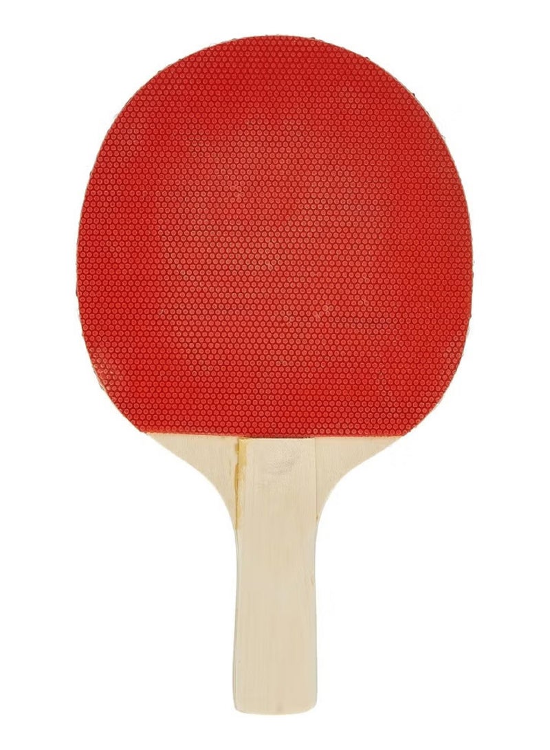 Sport Table Tennis Practice Paddles With Ball Set