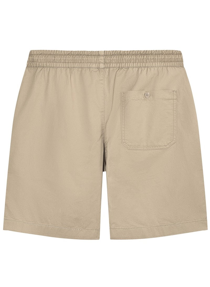 Men's Shorts Brown