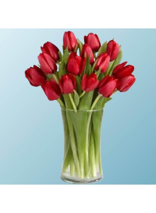 Red Tulip Vase