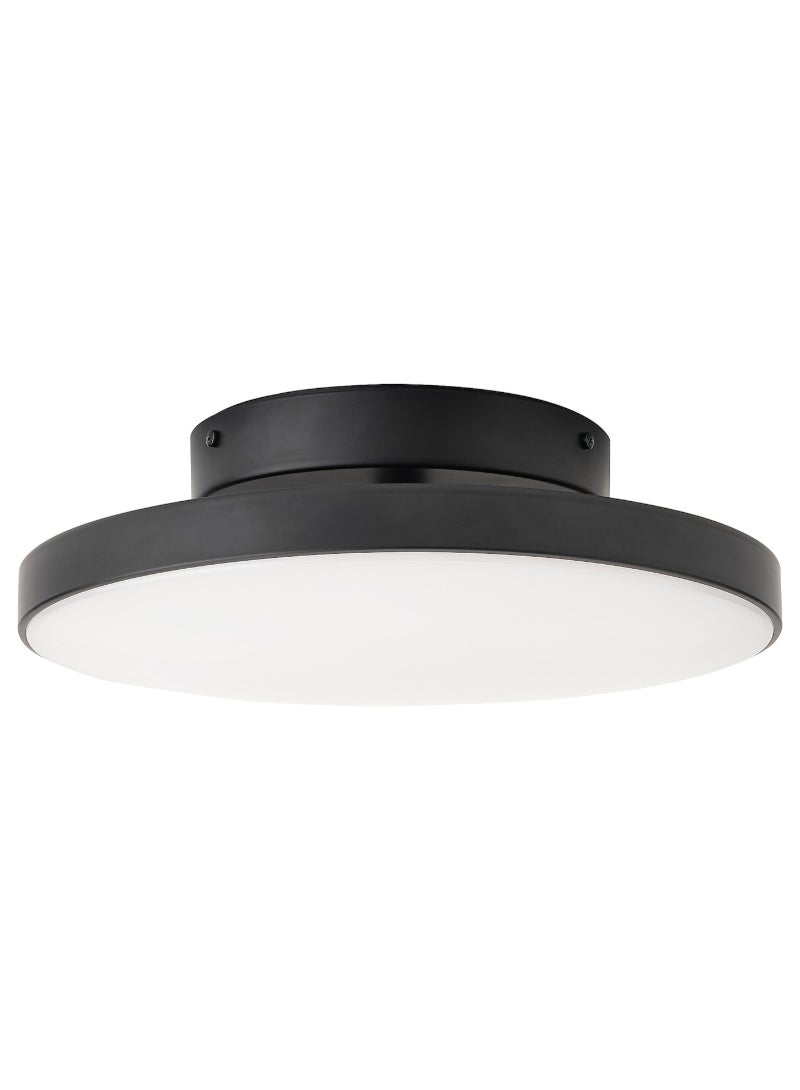 LED ceiling lamp - 36 cm