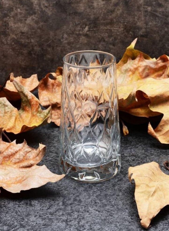 4 Pieces Leafy Long Drink Glass Set 450 Ml Clear