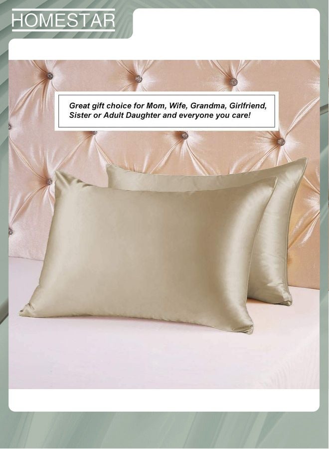 Pillowcase Both Sides with Hidden Zip Soft Breathable Smooth Standard Size Taupe