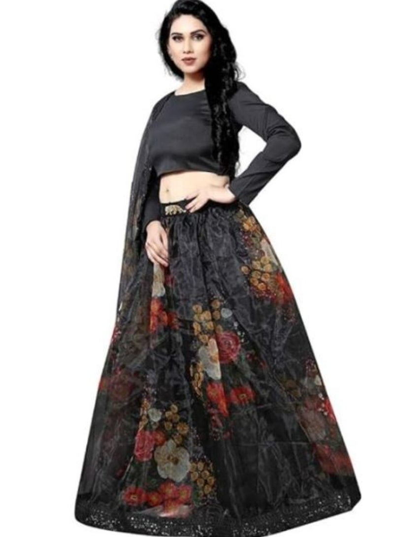 Organza Lehenga with Satin Silk Blouse