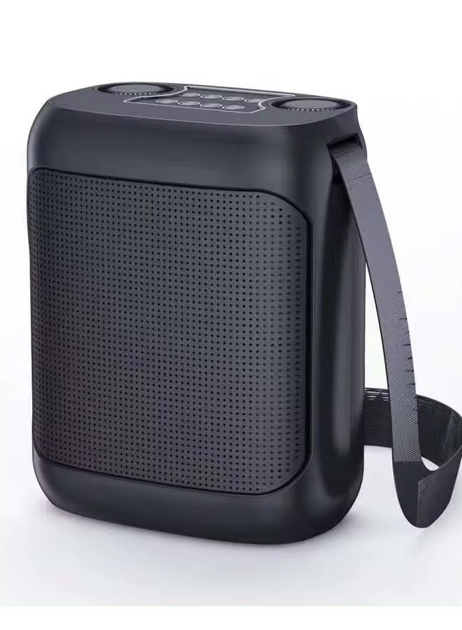 Karaoke Wireless Outdoor Portable Speaker with Strap and Dual UHF MIC