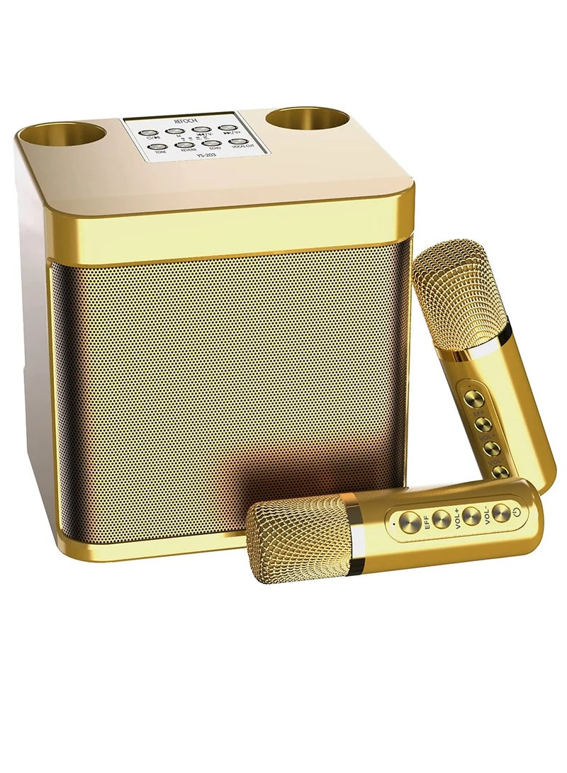 YS 203 Portable Wireless Bluetooth Karaoke Speaker  With Dual Microphone  Golden