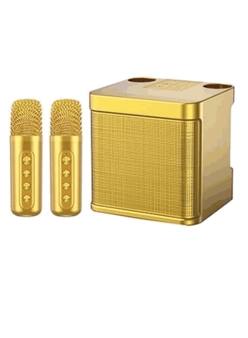 YS 203 Portable Wireless Bluetooth Karaoke Speaker  With Dual Microphone  Golden