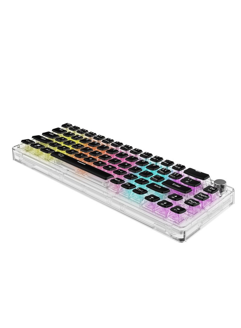 Transparent Mechanical Keyboard with Pudding Keycaps and RGB Lights / Gaming - Transparent with Black Keys