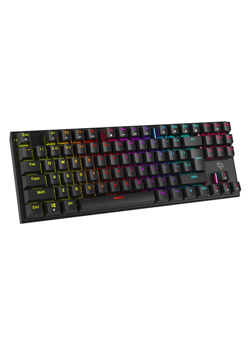 Mechanical Keyboard with Suspending Keycaps and RGB Lights with 12 Lighting Modes/ English and Arabic Languages / Simultaneous Key Presses on 25 Keys / Sturdy Build / US layout - Black