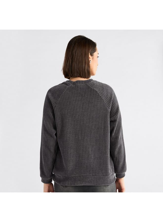 Textured Round Neck Sweatshirt with Raglan Sleeves