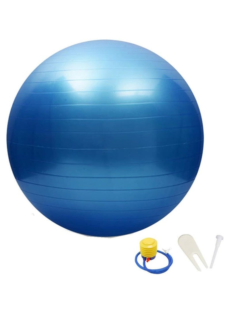 Jinara Gym Ball Exercise Ball, Anti-Burst Yoga Ball with Quick Pump, 55cm/65cm/75cm Thick Balance Ball Chair for Birthing Fitness Workout Stability Pilates, Gym & Home