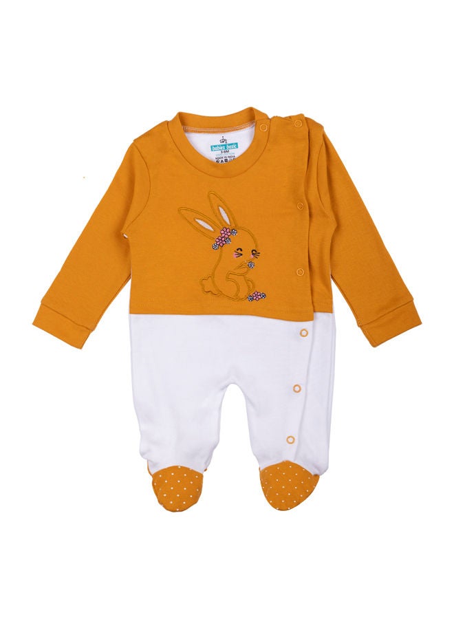 100% Cotton Printed Long Sleeves Sleepsuit With Feet Covering For Babies
