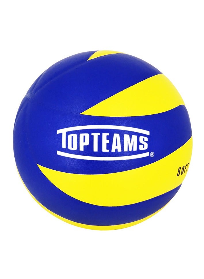 New Type 5 Training Specific Volleyball