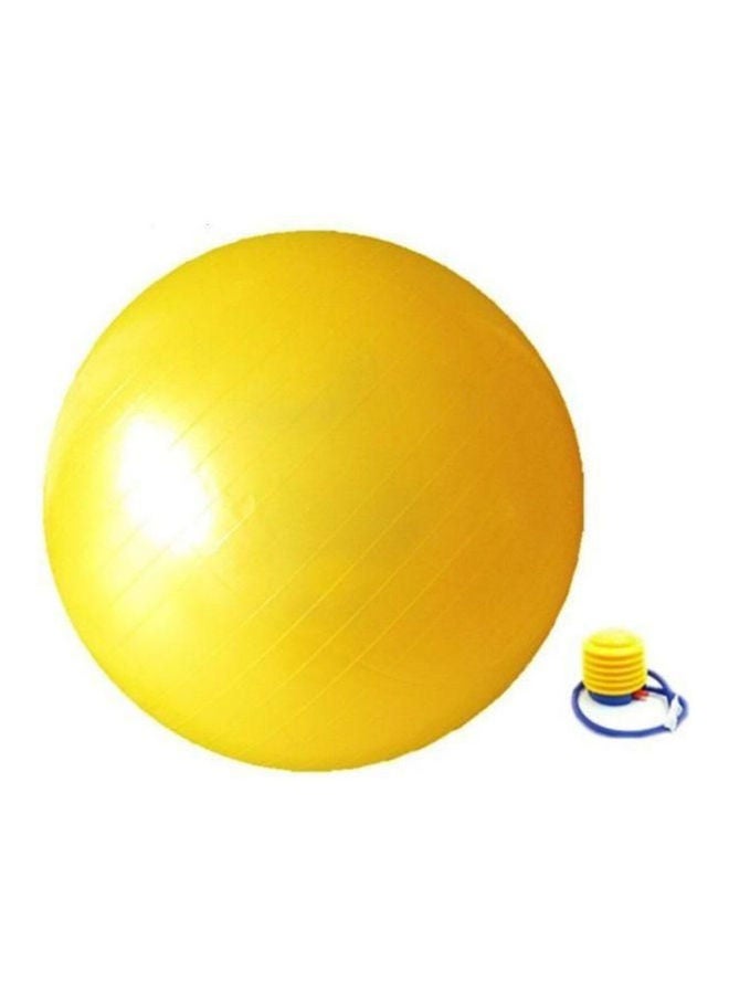 Spiky Gym Ball With Foot Pump 75x75x75cm