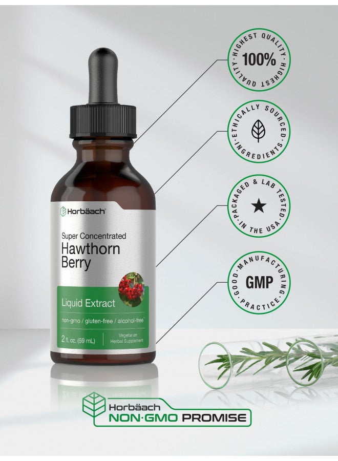 Hawthorn Berry Extract | 2 fl oz | Hawthorne Liquid Tincture | Vegetarian, Non-GMO, Gluten Free | by Horbaach