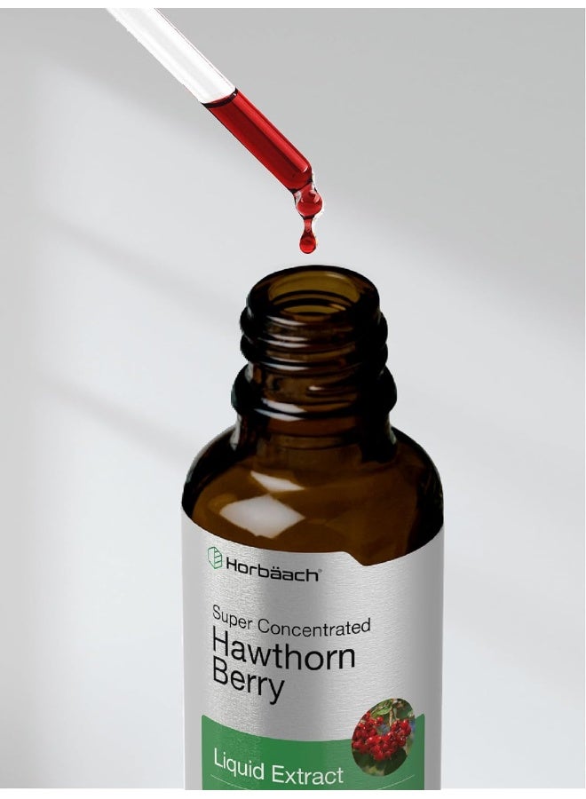 Hawthorn Berry Extract | 2 fl oz | Hawthorne Liquid Tincture | Vegetarian, Non-GMO, Gluten Free | by Horbaach