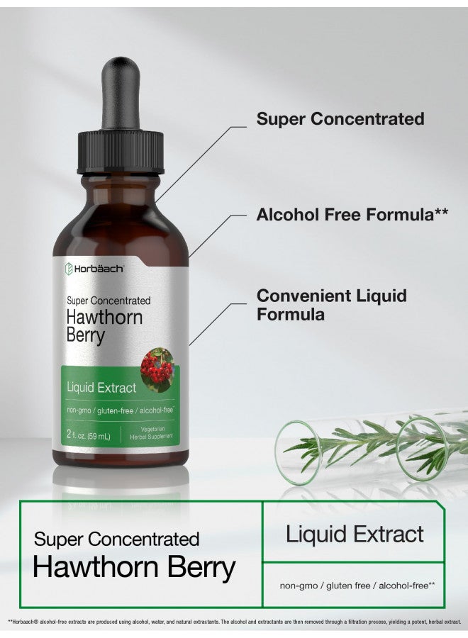 Hawthorn Berry Extract | 2 fl oz | Hawthorne Liquid Tincture | Vegetarian, Non-GMO, Gluten Free | by Horbaach