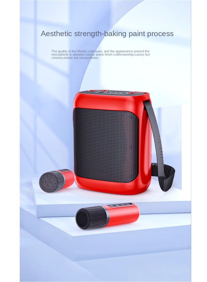 YS-220 Outdoor Karaoke Speaker Big Strap Speaker With Dual UHF Wireless Microphone