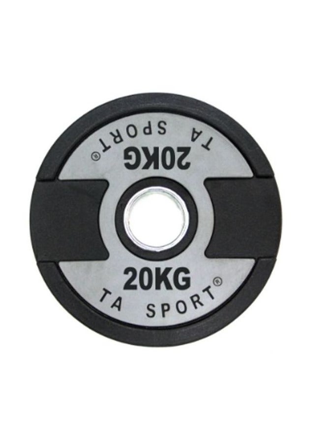 weight plate 20 kg  - grey