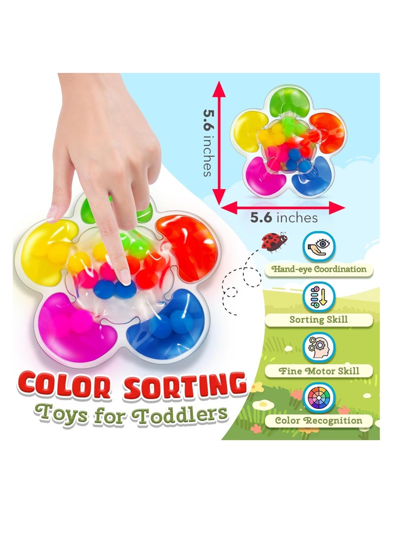 Color Sorting Toys Sensory Toys, Fine Motor Skills Game for Toddlers, Color Matching Toys Preschool Learning Activities Educational Calm Down Montessori Toys for Kids Boys Girls Ages 1 2 3 As Gifts