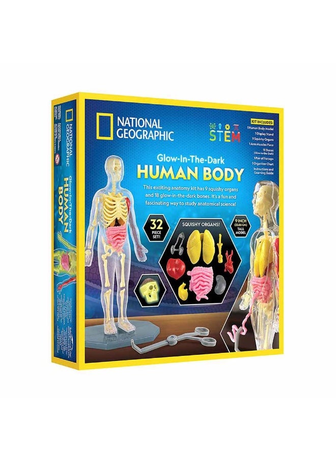 National Geographic Glow-in-the-Dark Human Body Science Kit