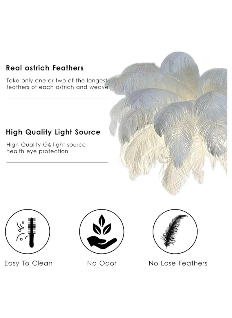 Nordic Luxury Feather Floor Lamp Modern Led Lamp Natural Feathers Floor Light with 3 Color Dimmable for Bedroom Study Living Room Office Hallway