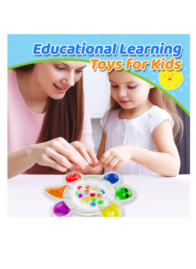 Color Sorting Sensory Toys for Toddlers: Fine Motor Skills Game for Preschool Learning Activities, Educational Color Matching Montessori Toys, Quiet Calm Down Item for Kids Boys Girls