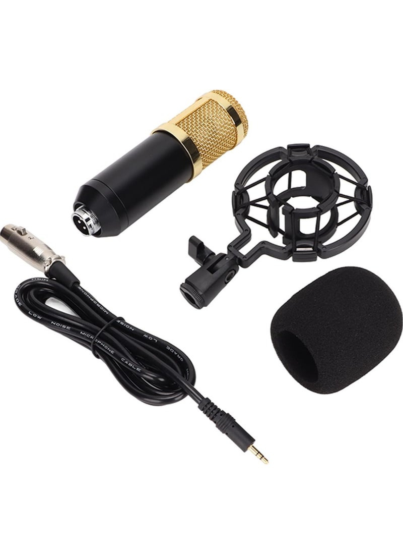 Wired Condenser Microphone, High Output and Low Noise Broadcast Recording Mic, XLR to 3.5mm Microphone with Shockproof Mount, Suitable for Recording Studios